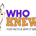 Who Knew Equine fun facts, line drawing