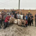 Large Animal Emergency Rescue course participants